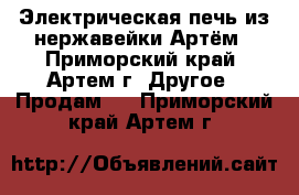 Электрическая печь из нержавейки Артём - Приморский край, Артем г. Другое » Продам   . Приморский край,Артем г.